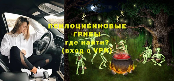 МДПВ Армянск
