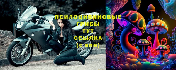 Альфа ПВП Аркадак