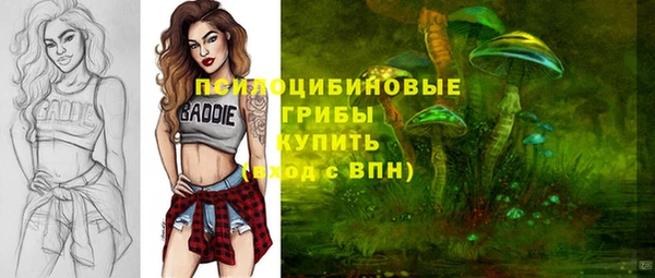 МДПВ Армянск