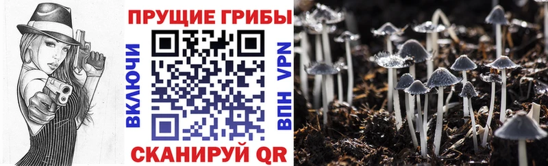 Псилоцибиновые грибы Psilocybe  МЕГА онион  Озёрск 